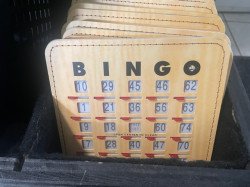 Bingo20Cards 1681308745 Bingo Machine / Game