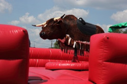 Mechanical Bull