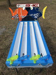 Fish Race Game